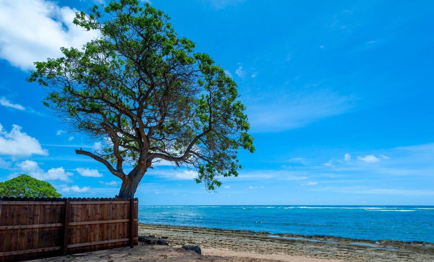 شقة Kauai Kailani 218 كابا المظهر الخارجي الصورة